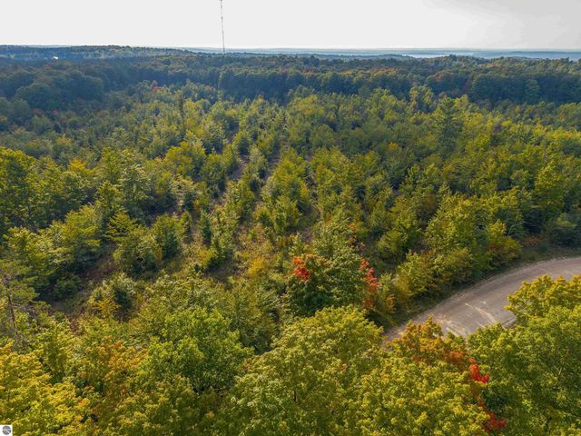 VL 18.75A NW Walker Road, Nw, Rapid City, MI 49676