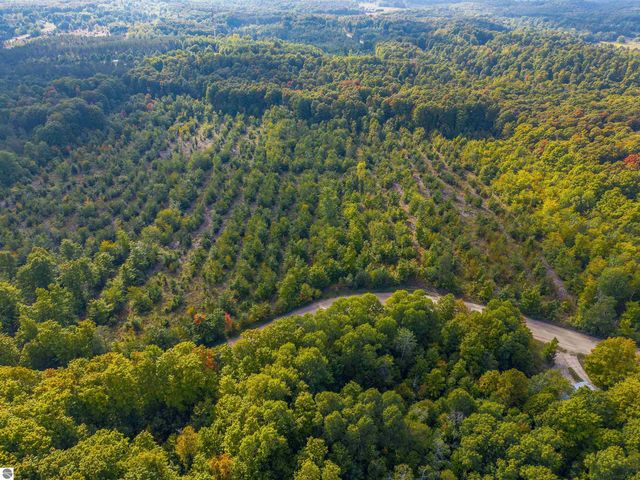 VL 18.75A NW Walker Road, Nw, Rapid City, MI 49676