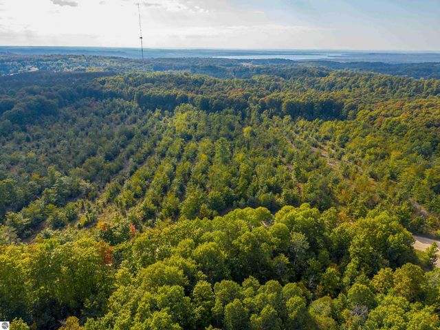 VL 18.75A NW Walker Road, Nw, Rapid City, MI 49676