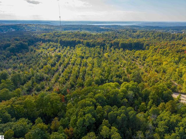 VL 18.75A NW Walker Road, Nw, Rapid City, MI 49676