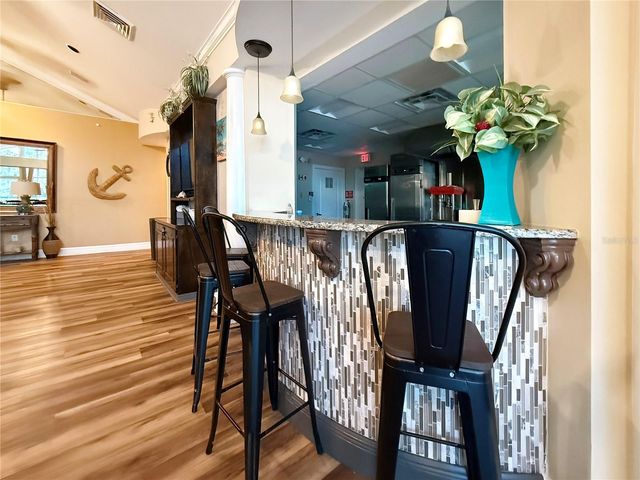 18048 JAVA ISLE DRIVE, Tampa, FL 33647