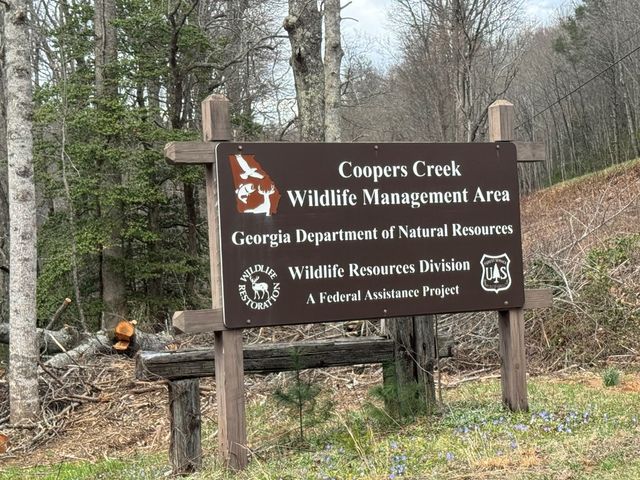 345 Cooper Creek Road, Suches, GA 30572