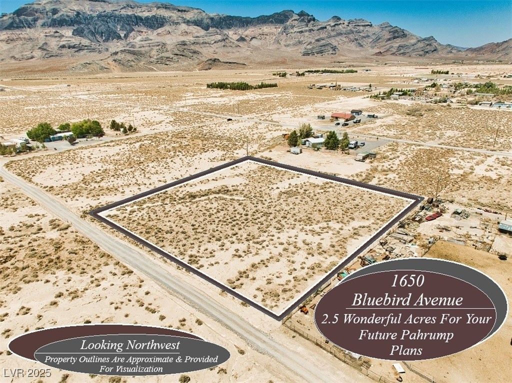 1650 West Bluebird Avenue, Pahrump, NV 89060