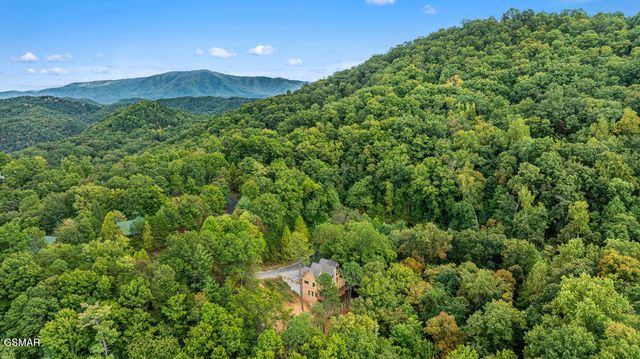 4406 Long Rifle Rd Road, Sevierville, TN 37862