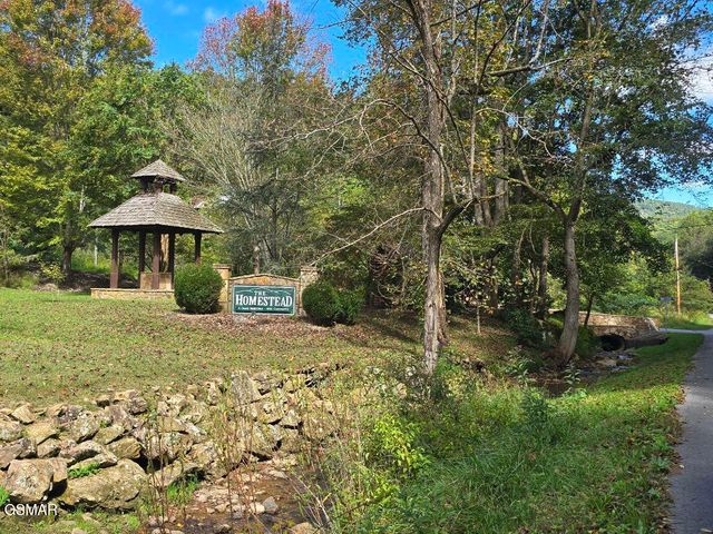 4406 Long Rifle Rd Road, Sevierville, TN 37862