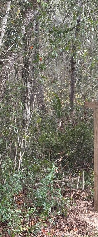 5670 WEST STREET, De Leon Springs, FL 32130