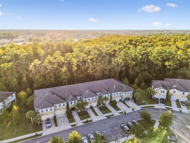 17856 ALTHEA BLUE PLACE, Lutz, FL 33558