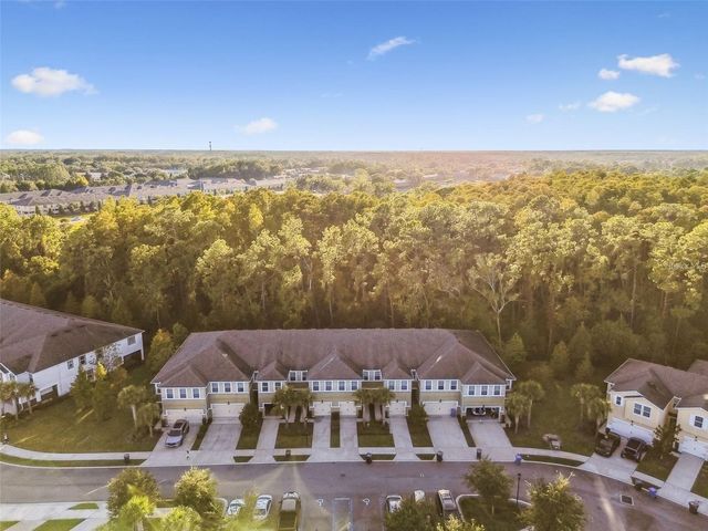 17856 ALTHEA BLUE PLACE, Lutz, FL 33558