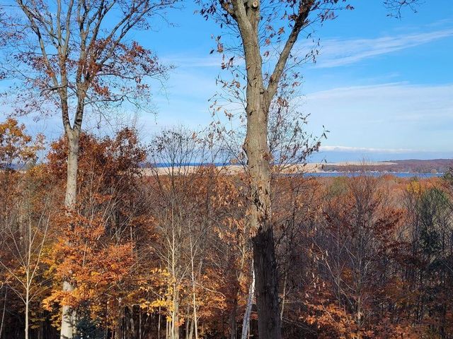 8584 W Woodridge Drive, Mears, MI 49436