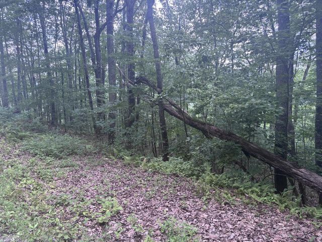 0 Wilderness Creek Way, Murphy, MD 20906