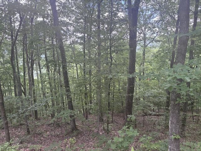 0 Wilderness Creek Way, Murphy, MD 20906