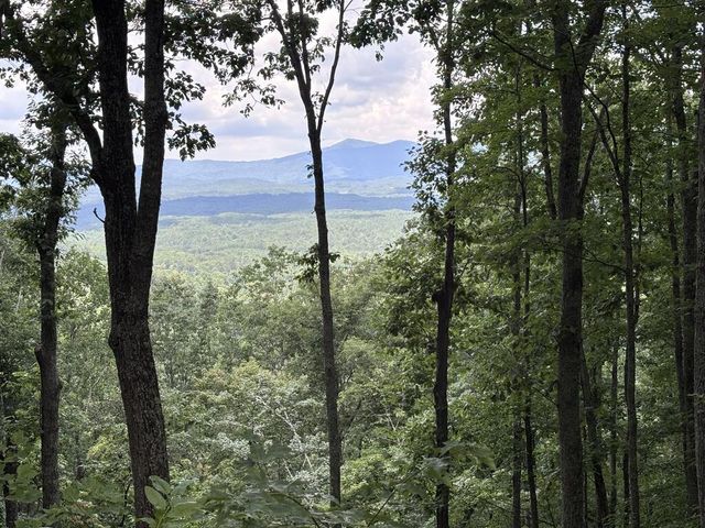 0 Wilderness Creek Way, Murphy, MD 20906