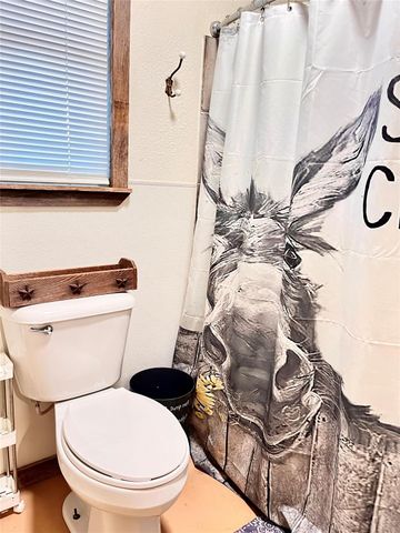 3869 Fm 2095, Cameron, TX 76520