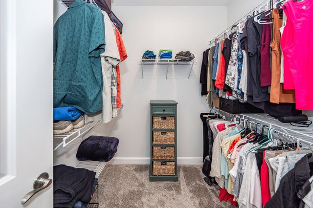 350 Dahlia Row Drive, Summerville, SC 29486