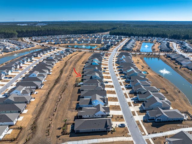 350 Dahlia Row Drive, Summerville, SC 29486