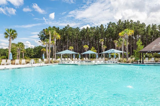 350 Dahlia Row Drive, Summerville, SC 29486