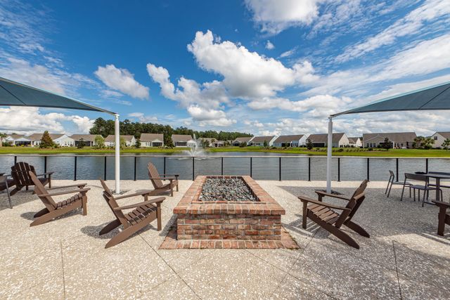 350 Dahlia Row Drive, Summerville, SC 29486