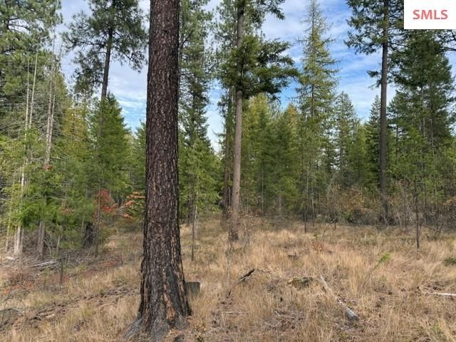 NNA (0451A) Jachetta Rd., Priest River, ID 83856 property photo