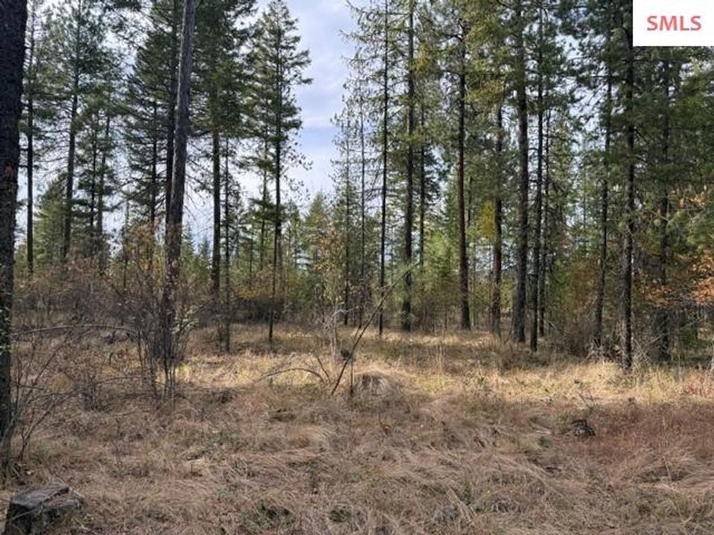 NNA (0451A) Jachetta Rd., Priest River, ID 83856 photo 2