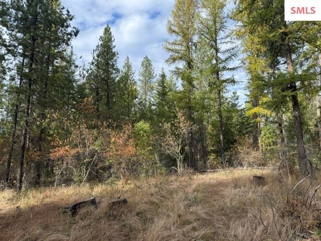 NNA (0451A) Jachetta Rd., Priest River, ID 83856 photo 3