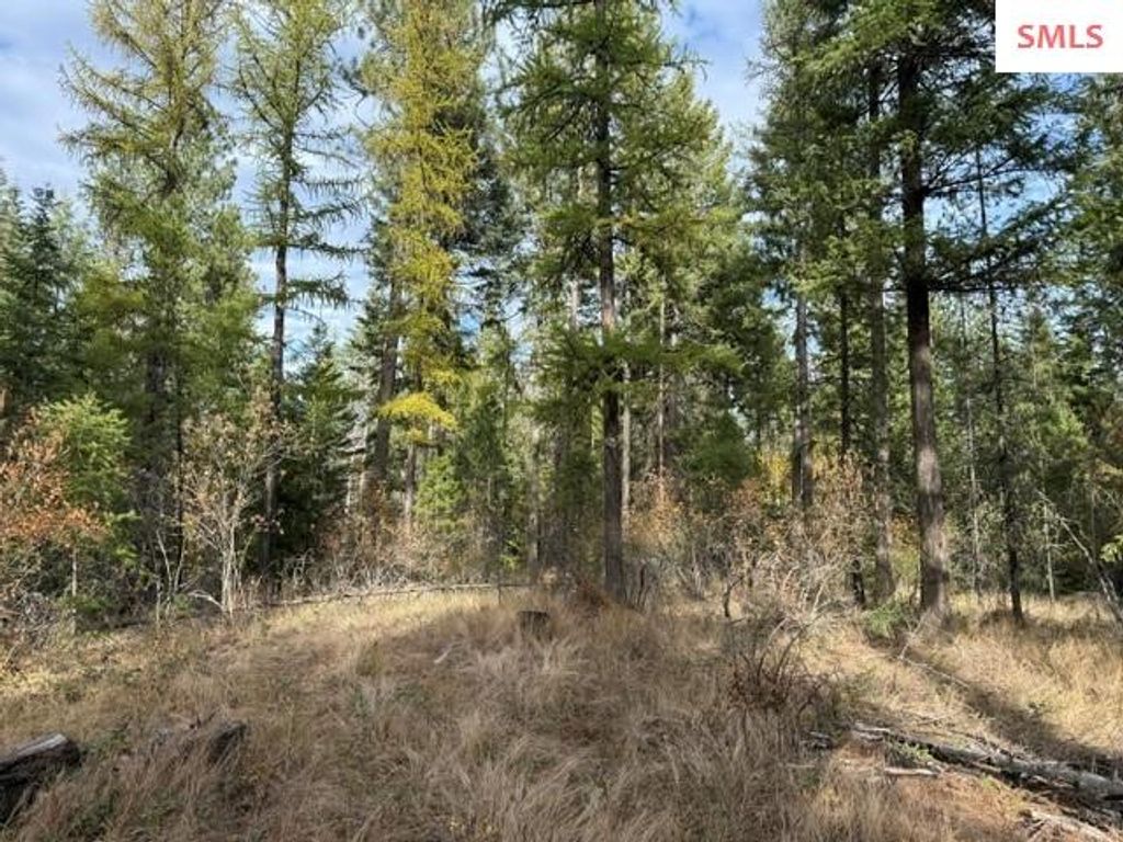 NNA (0451A) Jachetta Rd., Priest River, ID 83856 photo 4