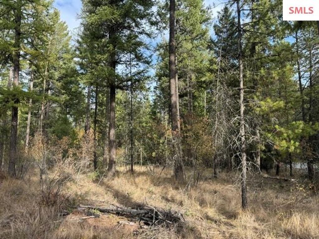 NNA (0451A) Jachetta Rd., Priest River, ID 83856 photo 5