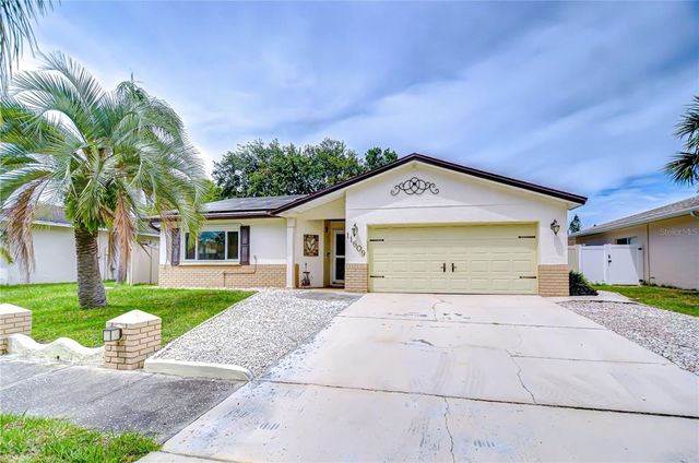 11609 PAINTED HILLS LANE, Tampa, FL 33624
