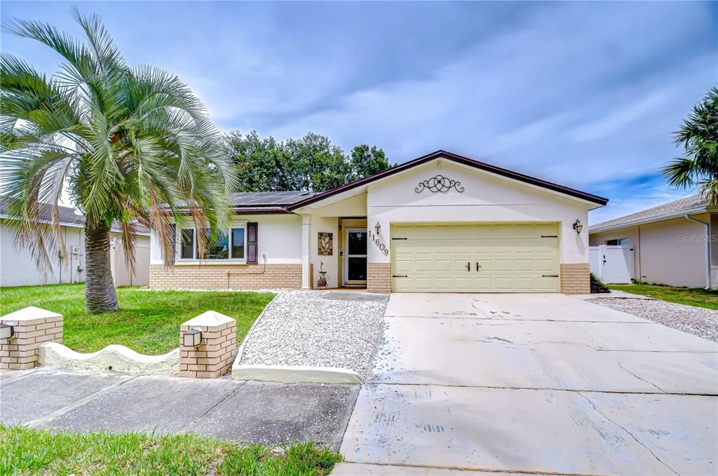 11609 PAINTED HILLS LANE, Tampa, FL 33624