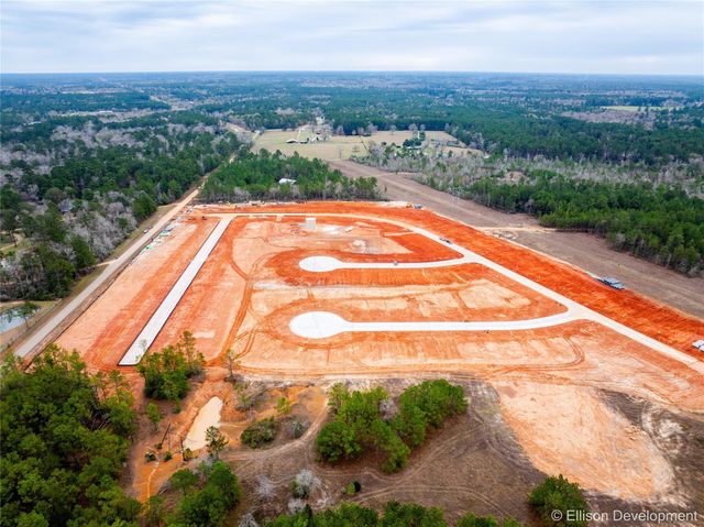 12326 Sword Point Court, Willis, TX 77378