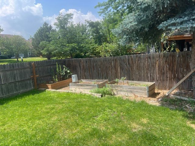 742 Lilac Dr, Windsor, CO 80550