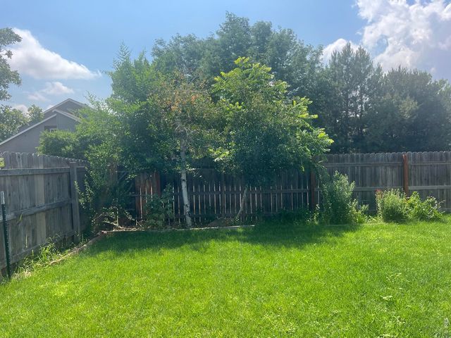 742 Lilac Dr, Windsor, CO 80550