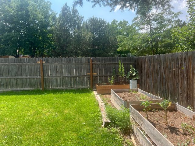 742 Lilac Dr, Windsor, CO 80550