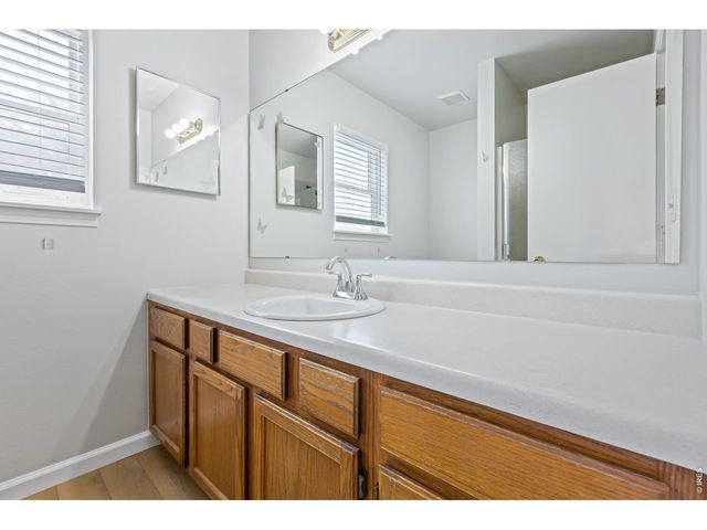 742 Lilac Dr, Windsor, CO 80550