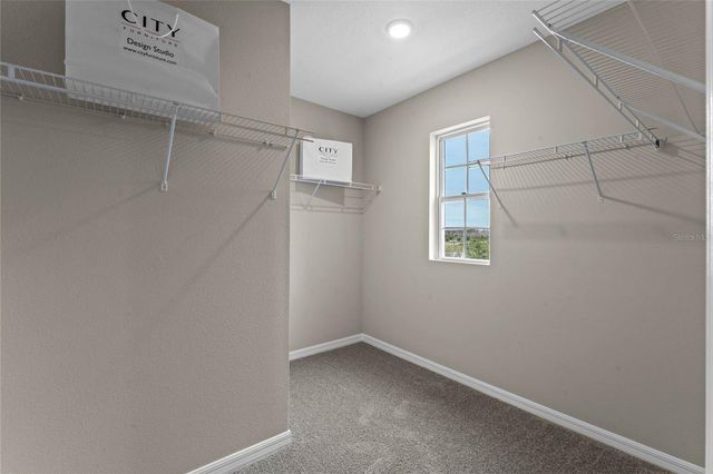 3310 BRIARWOOD GROVE DRIVE, Ocoee, FL 34761