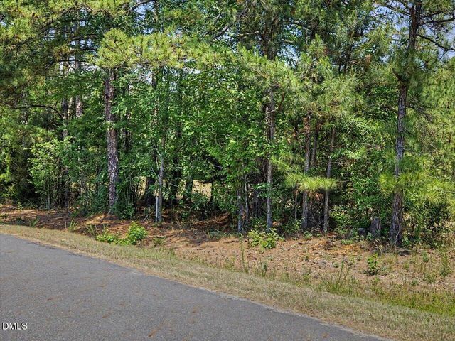 Lot 2b Clyde Farrell Road, Apex, NC 27523