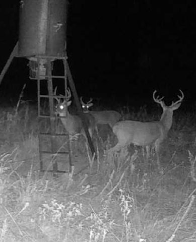 1510 FM 2649, Lone Oak, TX 75453