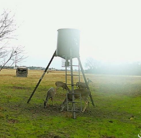 1510 FM 2649, Lone Oak, TX 75453