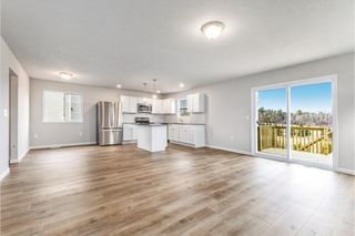 551 Snow Pine Court, Cedar Springs, MI 49319