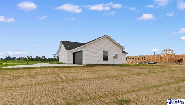 3170 Chapel Road, Loris, SC 29569