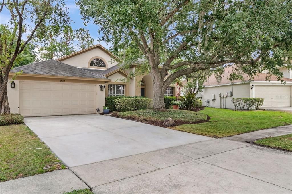 18017 PALM BREEZE DRIVE, Tampa, FL 33647
