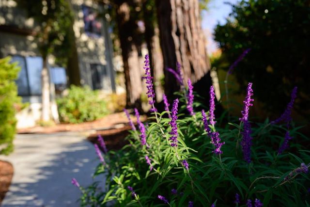 111 Bean Creek Road 156, Scotts Valley, CA 95066