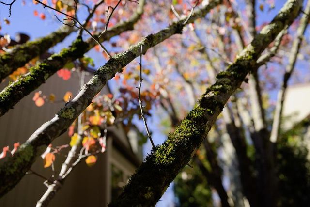 111 Bean Creek Road 156, Scotts Valley, CA 95066