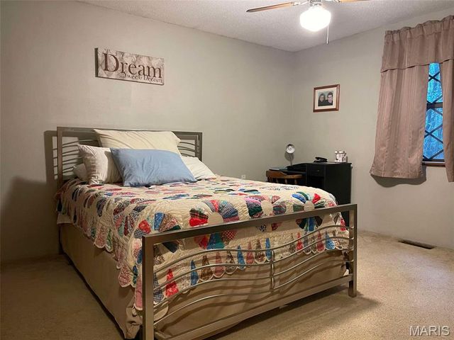 16341 Terrace Drive, Dexter, MO 63841