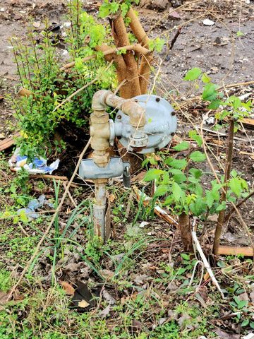 1001 S Medora Street, Terrell, TX 75160