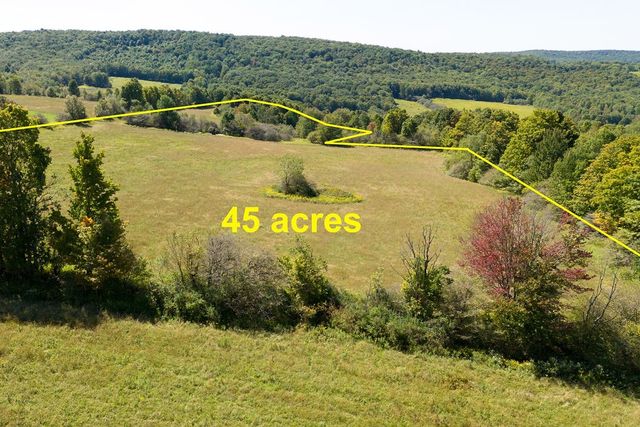 Lot 8 Warren Road, Meredith, NY 13753