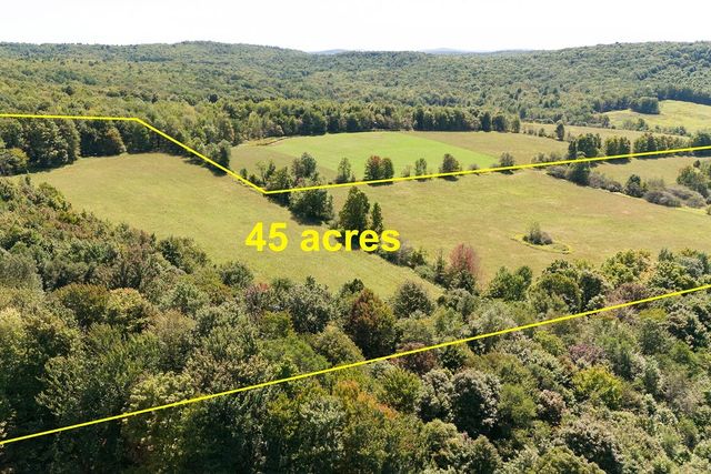 Lot 8 Warren Road, Meredith, NY 13753