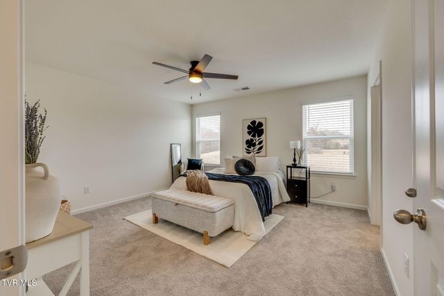 180 Tanasqui Drive, Johnson City, TN 37604