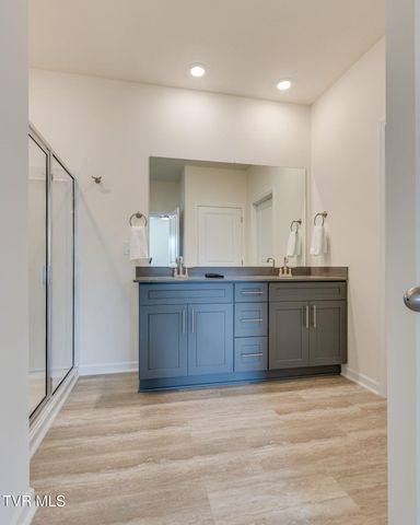 180 Tanasqui Drive, Johnson City, TN 37604