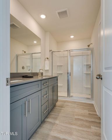 180 Tanasqui Drive, Johnson City, TN 37604