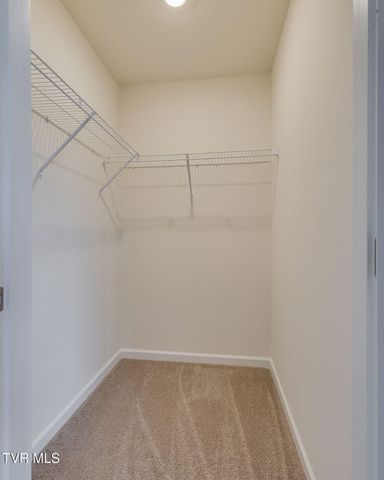 180 Tanasqui Drive, Johnson City, TN 37604